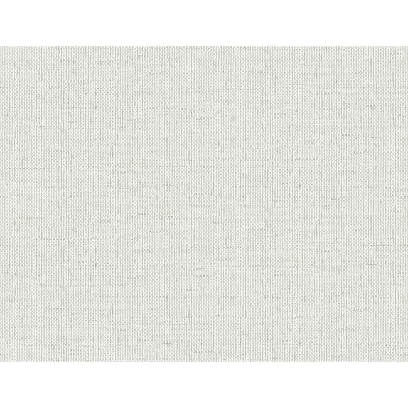 Rouleau de papier peint embossé 3D L 27 pi x l 27 po Chariyah, Gris aile