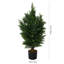 Faux Cypress Plant in Planter-1282924900