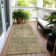 Machine Washable Indoor/Outdoor Cinead ACN1657 Aloe Rug