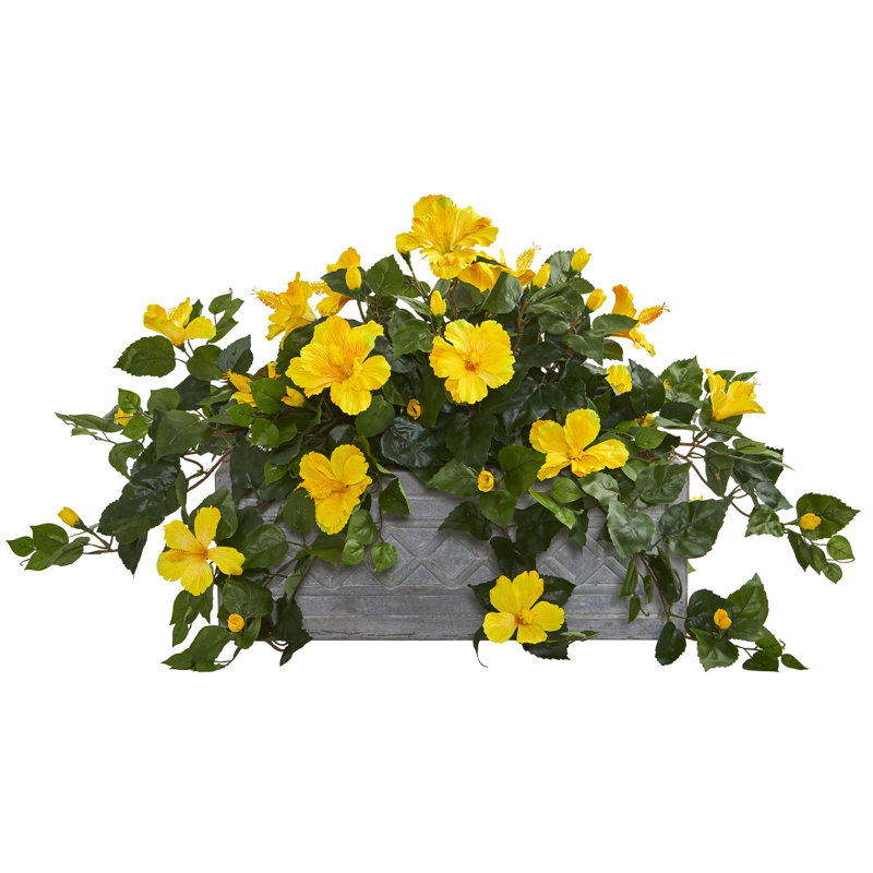 Arrangement floral hibiscus dans un pot de fleurs