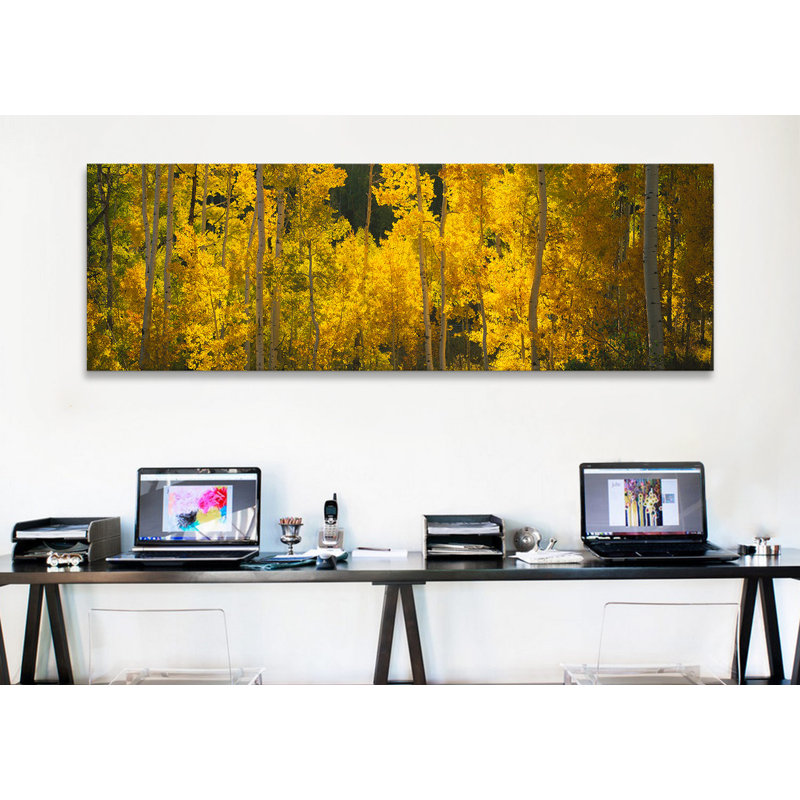 Panoramic Photograph on Canvas, 20" H x 60" W x 1.5" D