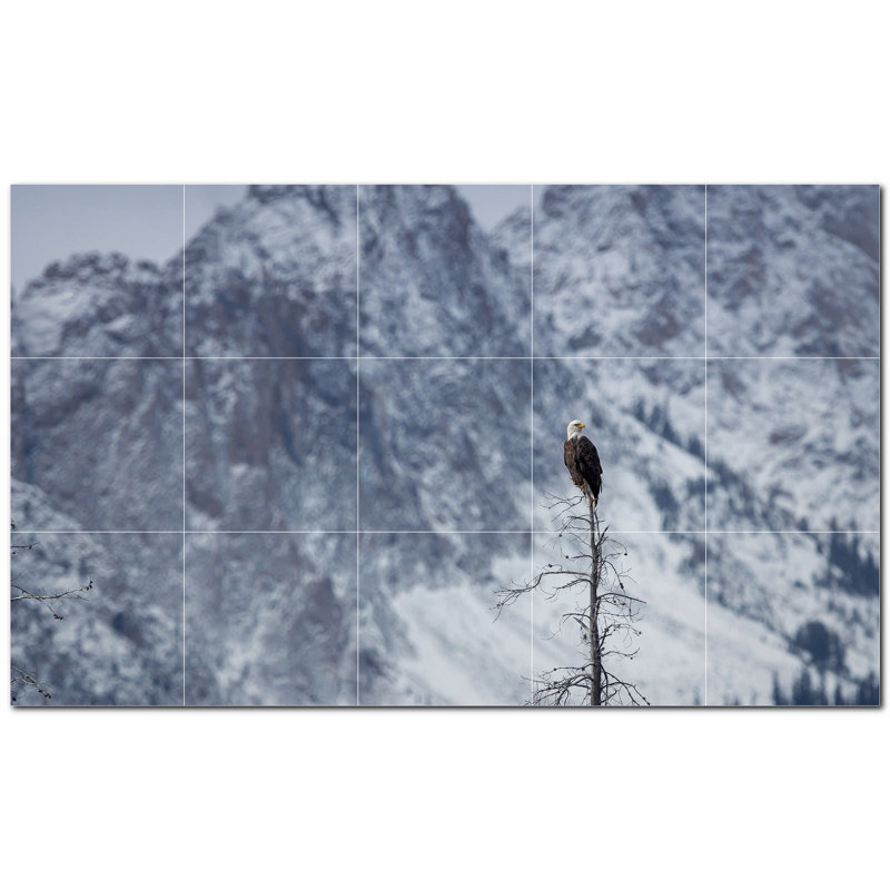 Panneau décoratif en céramique satinée Bird Photo 12 po x 12 po