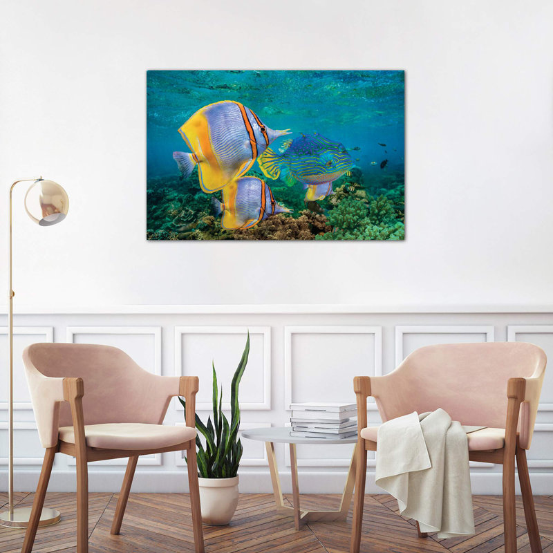 Butterflyfish And Horned Boxfish, Coral Coast, Australia by Tim Fitzharris - Wrapped Canvas Print