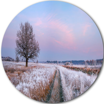 « dry oak tree », photographie