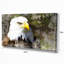 «Eagle Head with Textures», impression sur toile-21973038