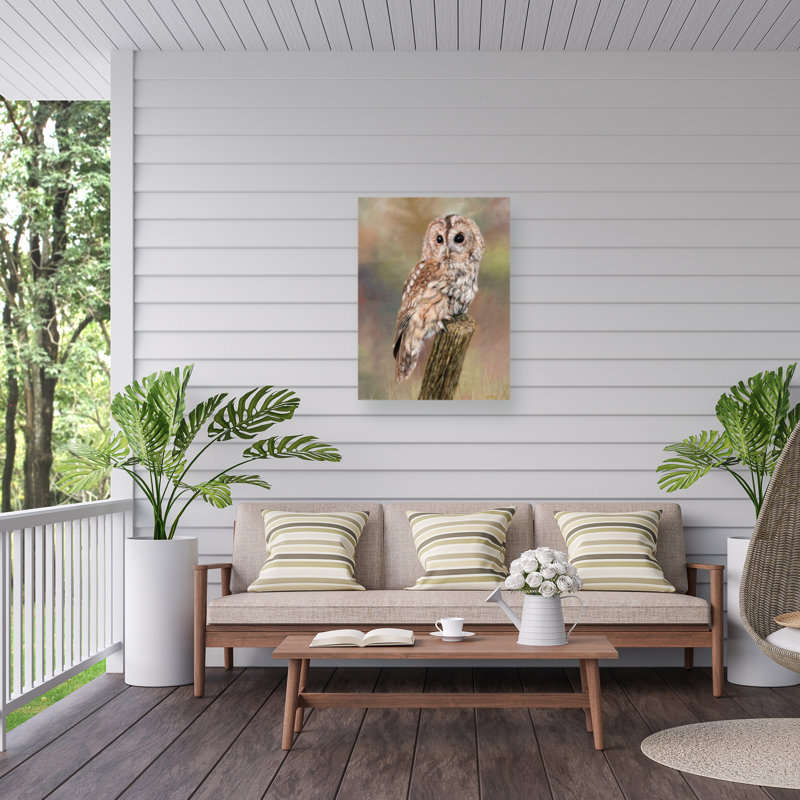 Toile d'extérieur David Stribble Tawny Owl, H 24 po x l 32 po