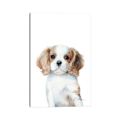 King Charles Cavalier Spaniel Puppy - Wrapped Canvas Print