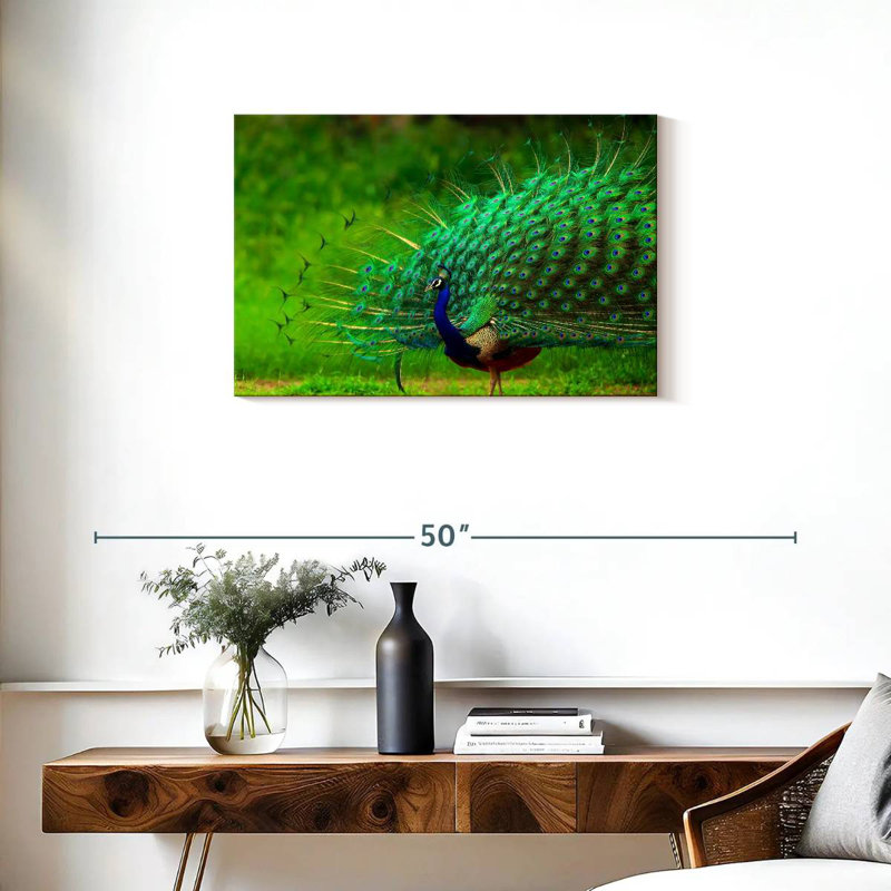 Plumage bleu paon bleu brillant, 20" H x 30" W