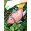 Vase de table un poisson rouge Arvizu