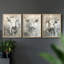 Bovine Study  Series  XLII  -Set Of 3 Framed Giclee Prints -Ready to Hang-107257150-107257154