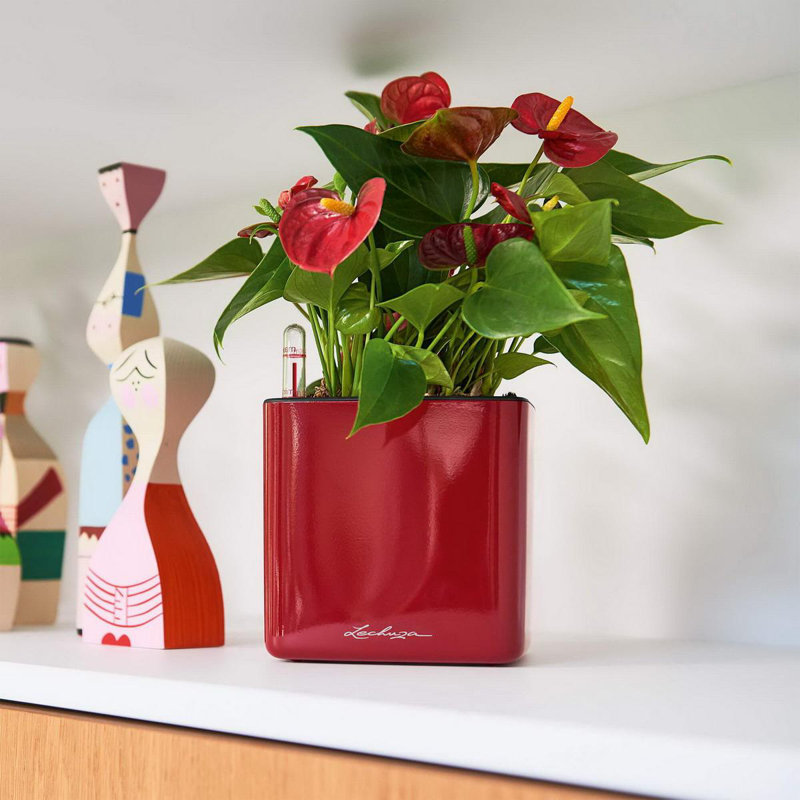Cube Pot Planter, Scarlet Red, 14 cm H x 14 cm W x 14 cm D