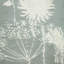 Meadowsweet Floral Machine Woven Green Rug-67405467