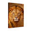 Portrait d'animaux lion avec motif de fond orné-1829203360