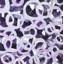 Abstrait cercles mauves - Toile à motif mauve pour la décoration intérieure