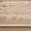 Soft Fluffy Indoor / Outdoor Living Room Large Area Rug-121706575
