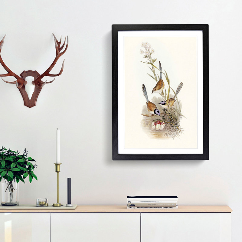 Crowned Wrens by Elizabeth Gould - Picture Frame Painting Print, 36cm H x 27cm W x 2cm D, Black Framed