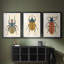 Beetle Bug I - reproduction sur mesure encadrée de qualité supérieure - 3 pièces-597752066-597752067