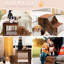 Lit superposé à plusieurs niveaux pour animaux de compagnie avec marche amovible, coussin et bloc-notes pour chiens et chats, intérieur, lit de marche, coussin, robuste