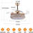Zahnya 42'' Ceiling Fan with LED Lights-684725925