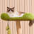 4 Tiers Cat Tree with Condons,Perch,Scratching Posts