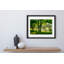 Summer Rain Print by Joseph Regan-66910841-66910845