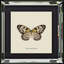 Single Picture Frame Print
