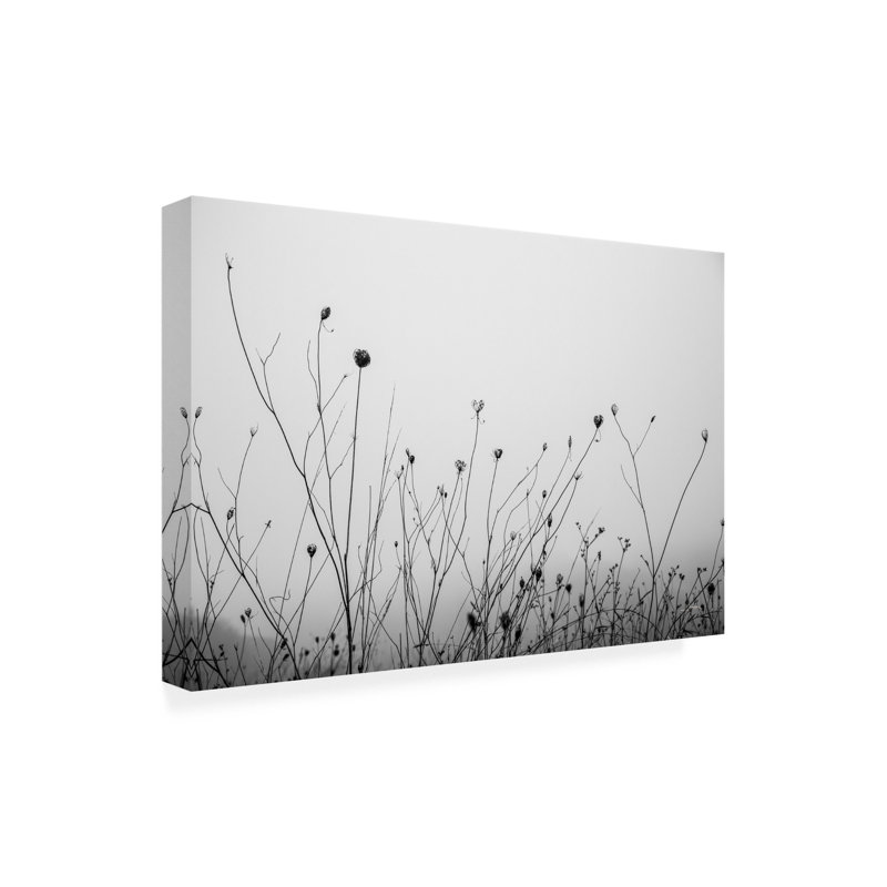 Art sur toile Aledanda, H 12 po x l 19 po x P 2 po
