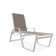 Holna Outdoor Rust-Resistant Metal Chaise Lounge