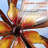 Cathie Weather Resistant Plants & Flowers Rotator