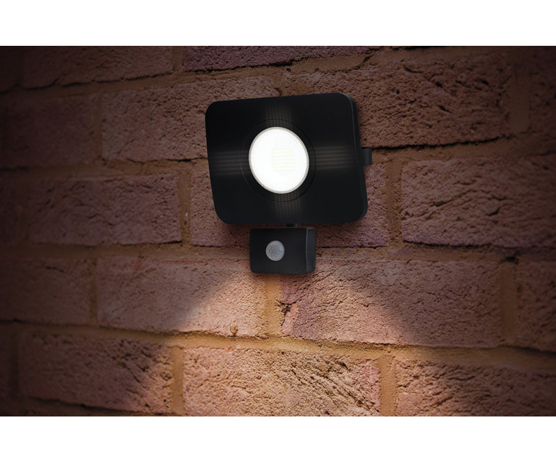 Oxendine 1-Light LED Flood Light