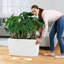 Cararo Pot Planter