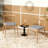 Dining Chairs with Ergonomic Backrest