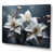 Toile tendue