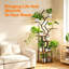 Plant Stand