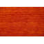 Tapis orange en laine Gabbeh noué à la main 6 x 8