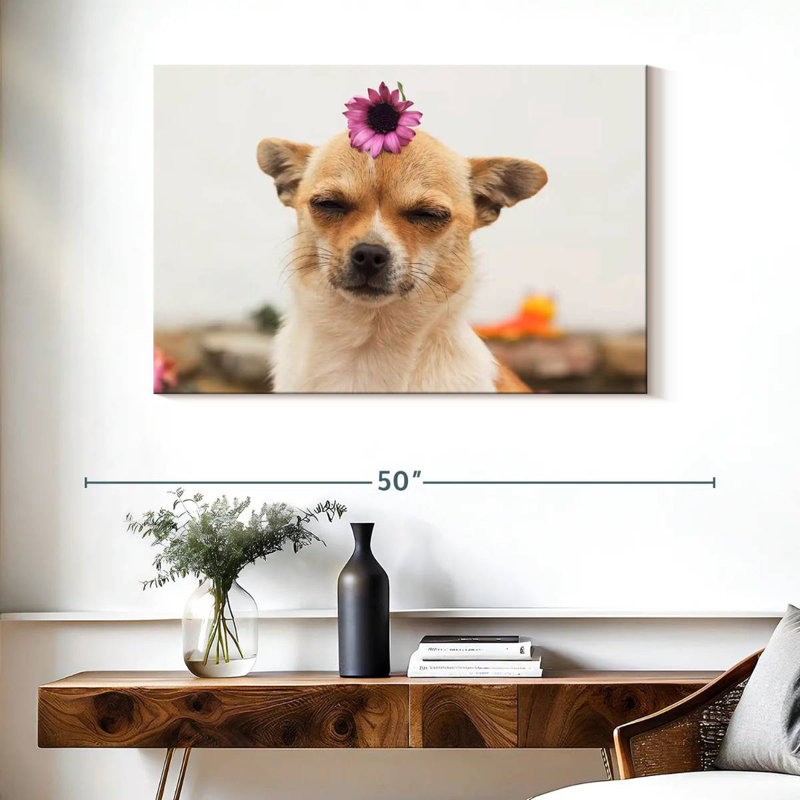 Fleur sur chihuahua, H 26 po x l 39 po