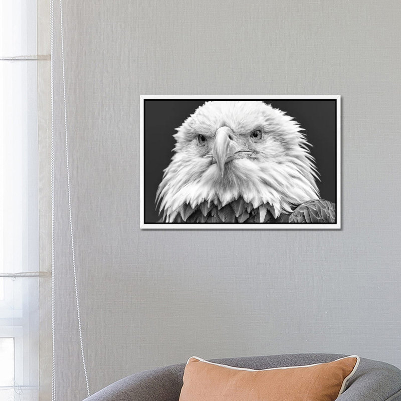 I See You! by David Gardiner - Print on Canvas, White Framed, 66.04 cm H x 45.72 cm W