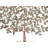 Wall Decor on Brass
