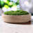 Modern Luxury Travertine Moss Garden Bowl-130101200