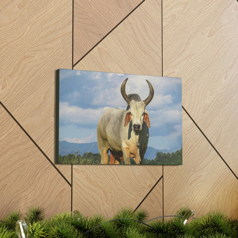 No Frame Print on Canvas, 27.94cm H x 35.56cm W