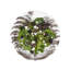Country Estate Party Plate Assorted Set/4 - Flint Gray