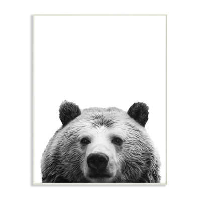 « bear head animal design », impression sur toile
