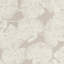 Tissu transparent Del Coco-50800934