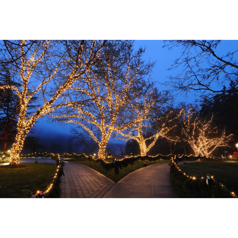 17 Feet 50 LED Christmas Mini Light String on Green Wire, 5mm Wide Angle Bulbs, Connectable, Indoor/Outdoor Decor, UL Listed