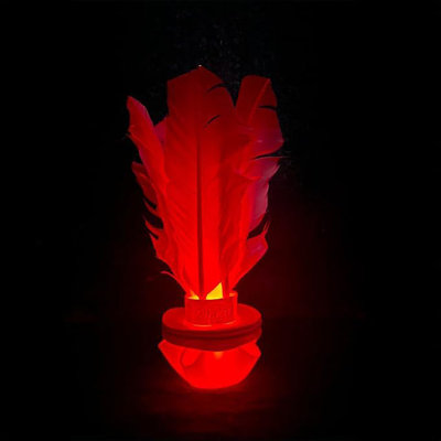 Kickit Trainer LED
