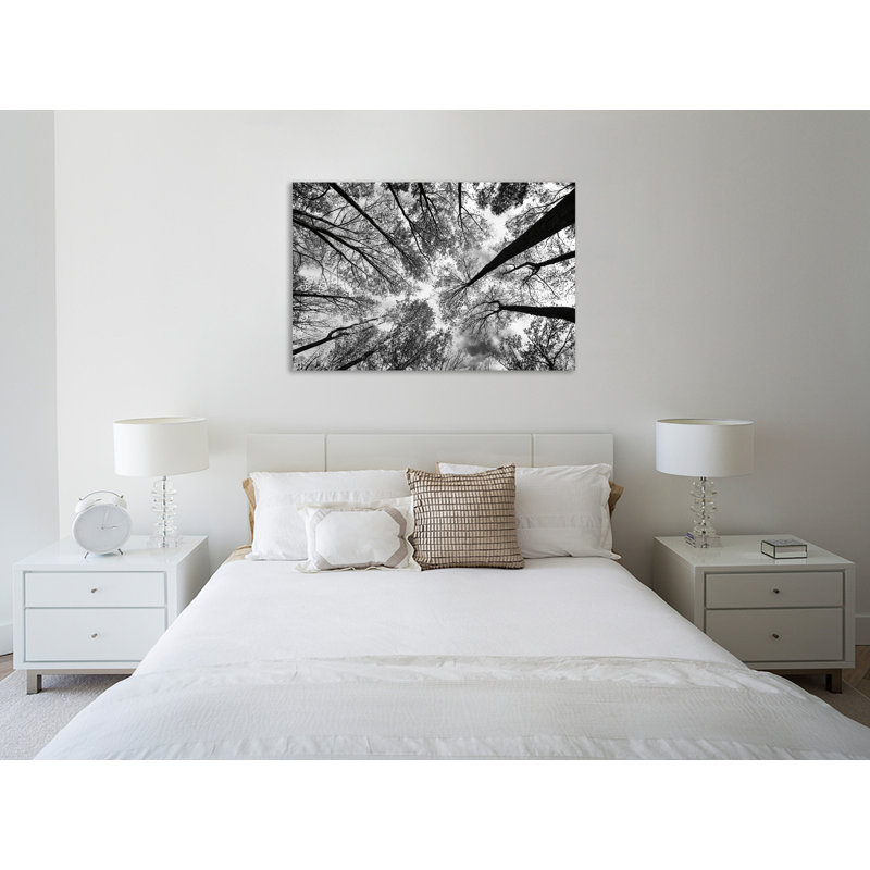 " Looking up I BW " Acrylic, 16" H x 24" W x 1.5" D