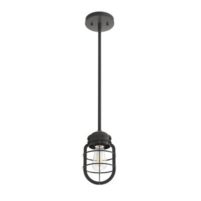Mini-luminaire suspendu à 1 lumière Starklake