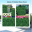 Mur d'herbe - 10 po-2042792654