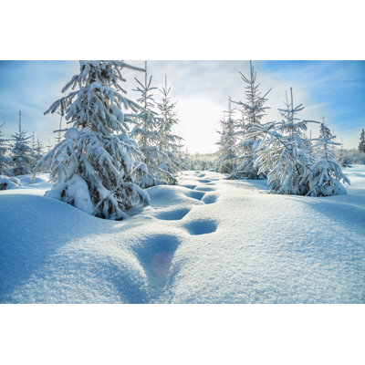 Winter Landscape - Wrapped Canvas Print