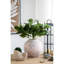 Boîte à fleurs texturée beige 8,5 po x 5,5 po x 6,3 po avec coquille de sable, convient à la plantation de jacinthe avec surface